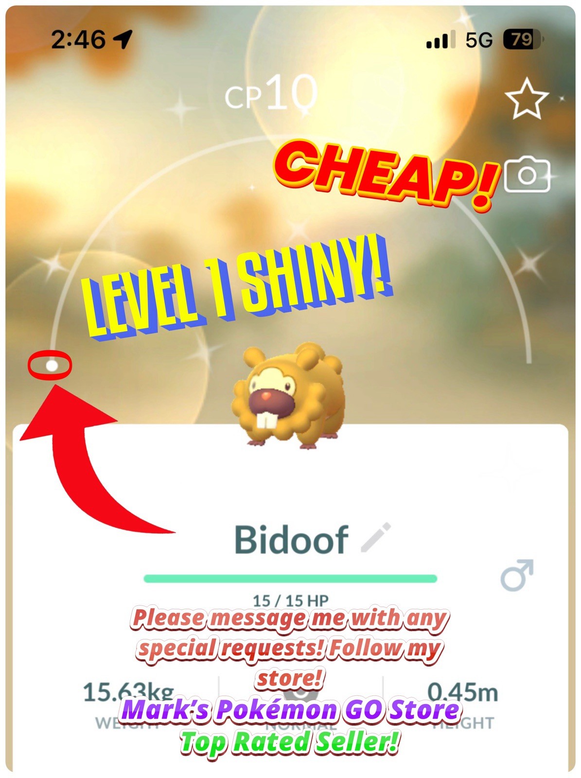 Pokemon✨Level 1 Shiny Bidoof✨Registered or 30 Days✨TRA-DE✨Go