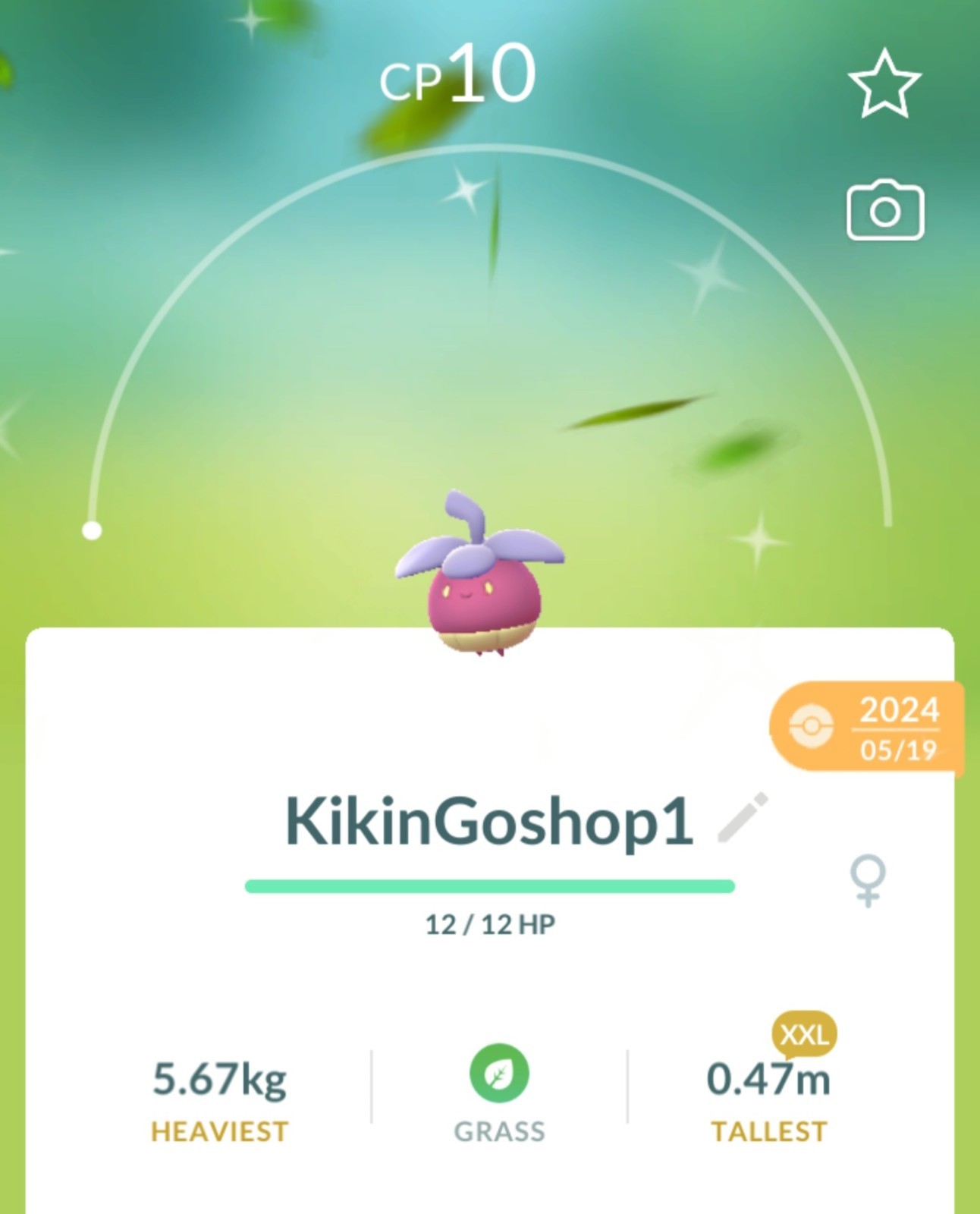 ✨POKÉMON XXL LVL1✨SHINY XXL LVL1 ✨20K DUST TRADE OR BUILD FRIENDSHIP✨| POKE GO