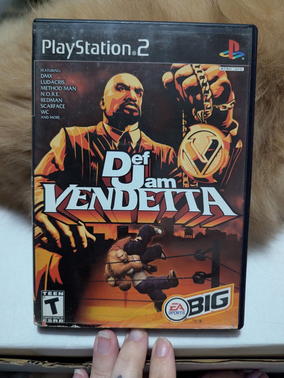 CIB Def Jam Vendetta (Sony PlayStation 2, 2003)