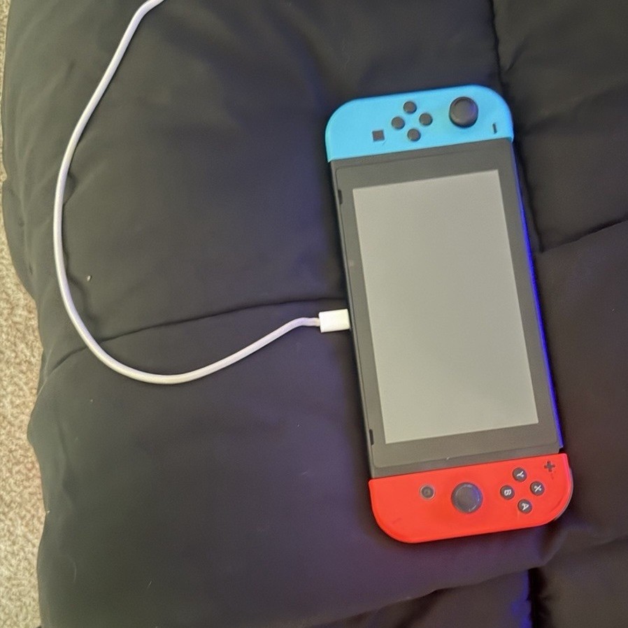 Nintendo Switch Console Red/Blue Joy-Con USB-C Cable Back Sticker