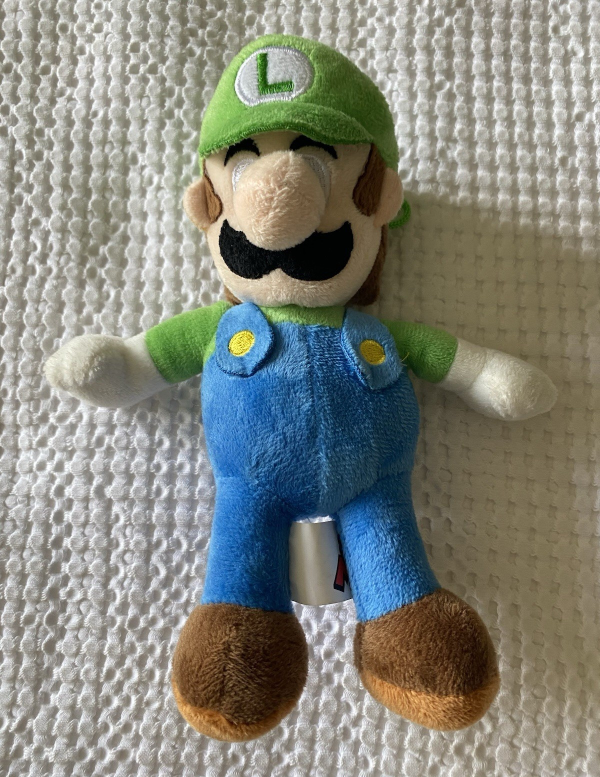 Nintendo Super Mario Luigi Washable Plush Doll Stuffed Toy (2024)