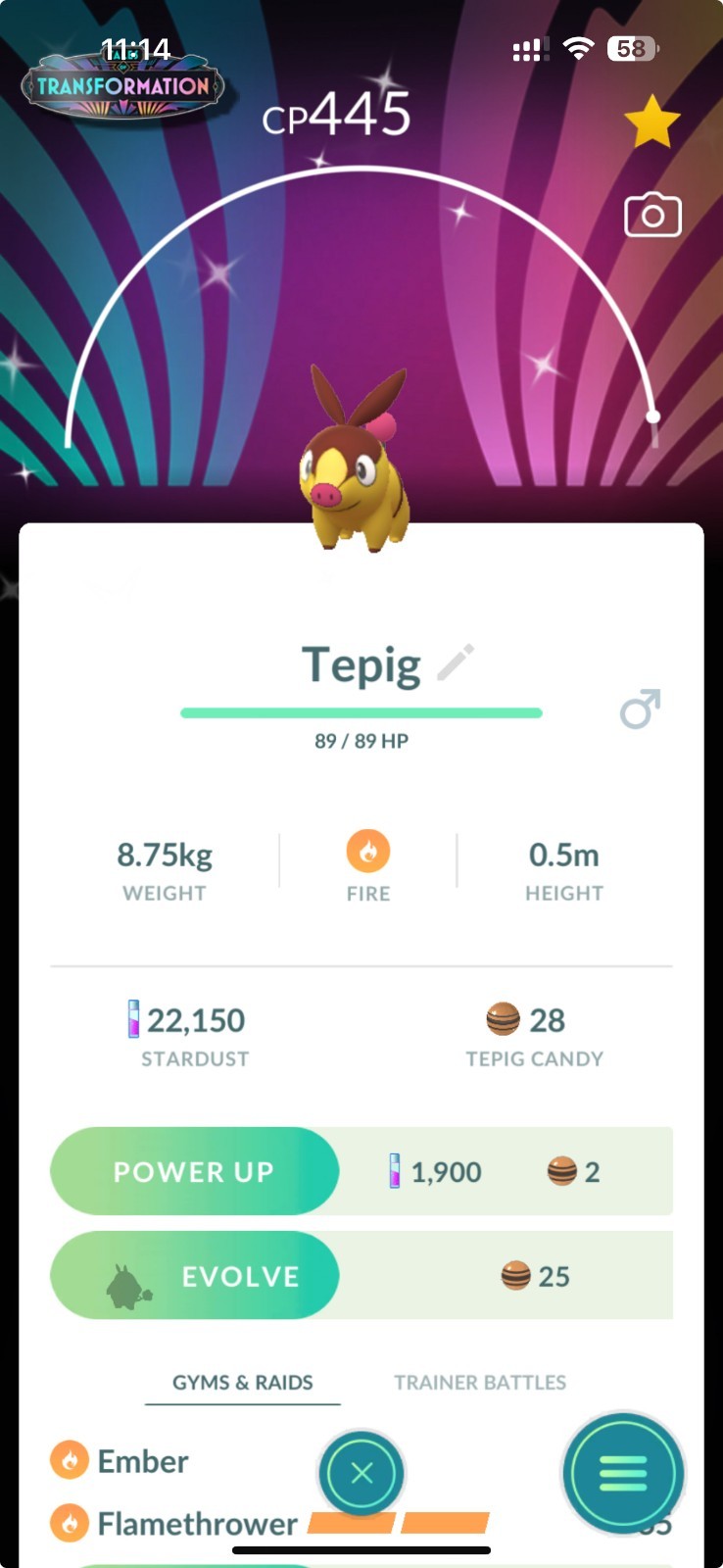 Shiny Tepig Z-A Celebration Event Season background -P T C- Read Description