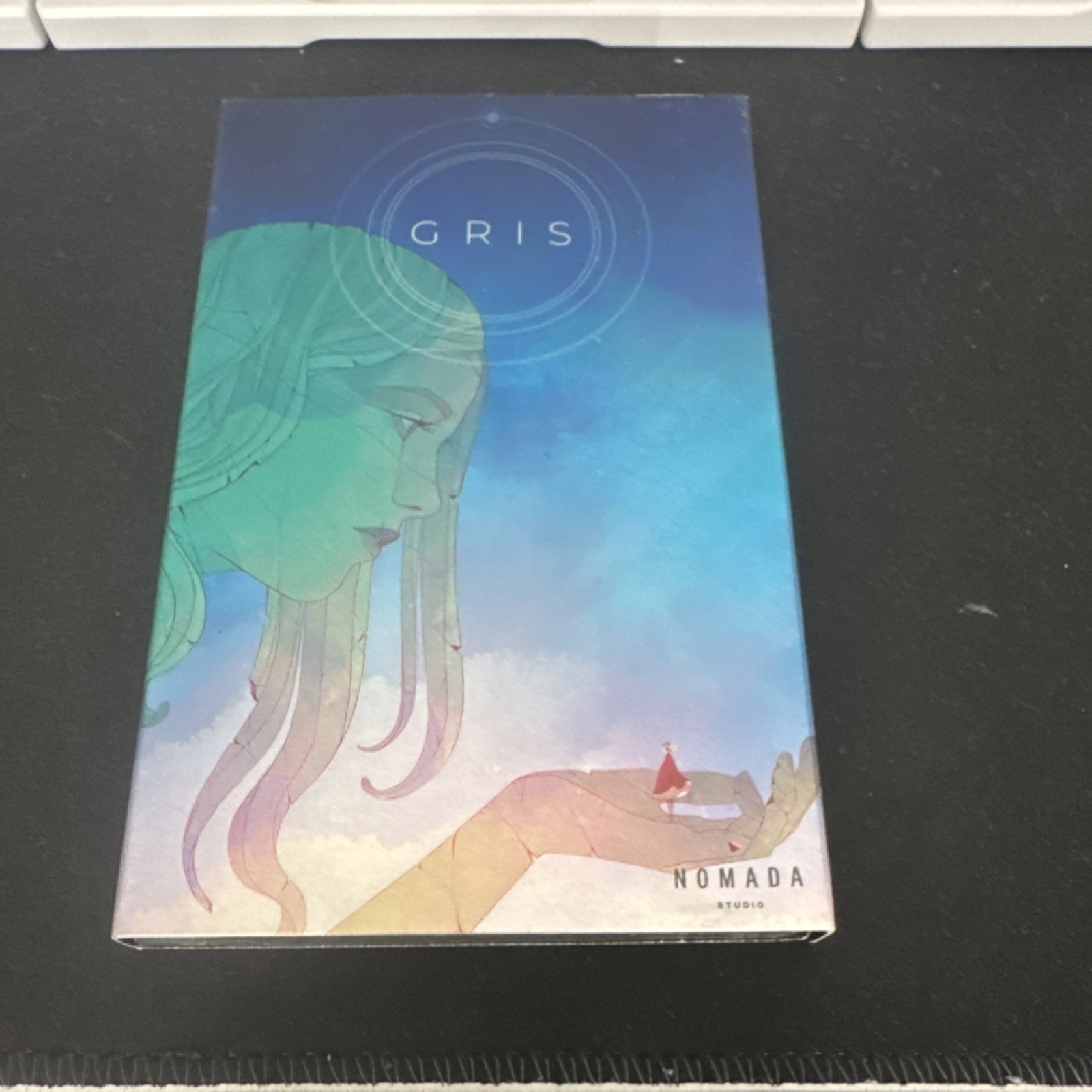 Devolver Digital GRIS Nintendo Switch Video Game ESRB E Everyone