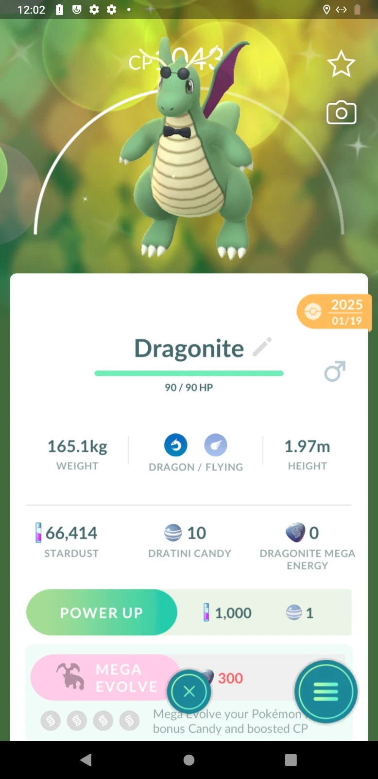 Pokémon Shiny Dragonite Wearing Fashionable Glasses Costume – PTC Go