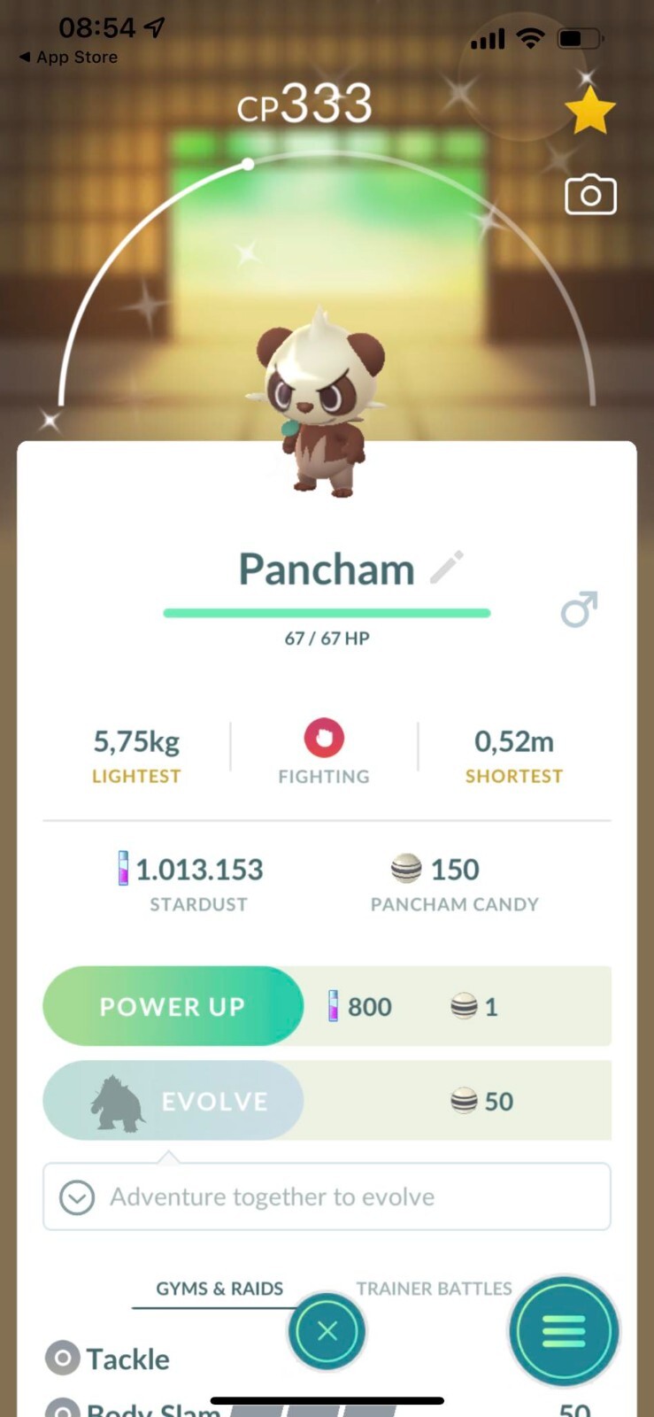 Shiny Pancham – Trade 1 million stardust