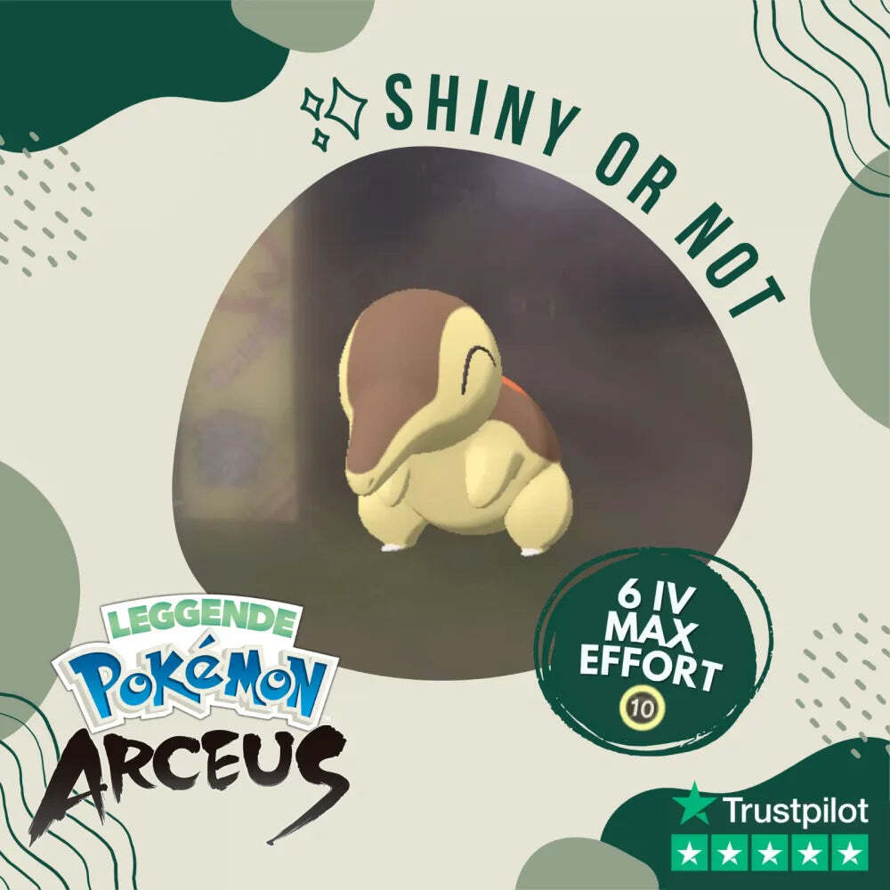 Cyndaquil Shiny ✨ Legends Pokémon Arceus 6 IV Max Effort Custom OT Leggende