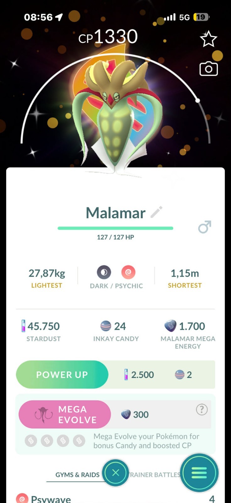 Shiny Mega Malamar Special Background Go Tour Kalos – Read description
