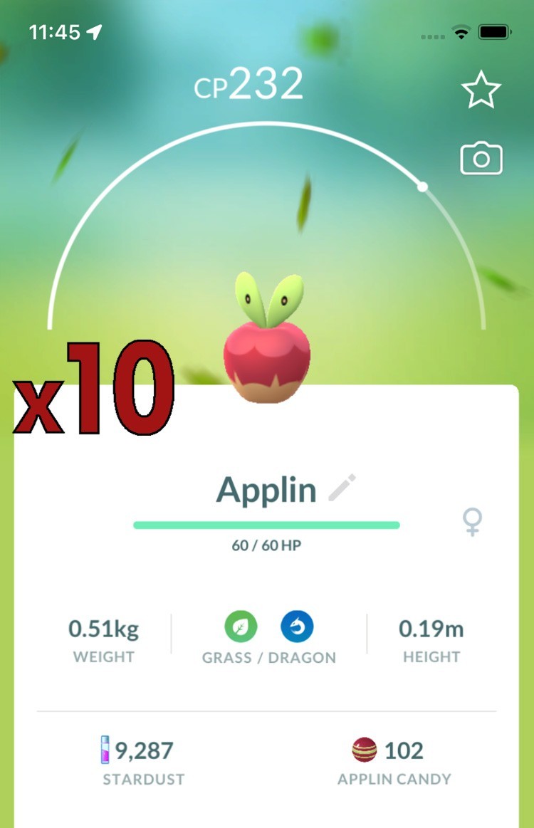10x Applin Pokemon Bundle !! Good Chance of Lucky and Good IVs !! Go