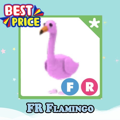 FR Flamingo – Adopt right now