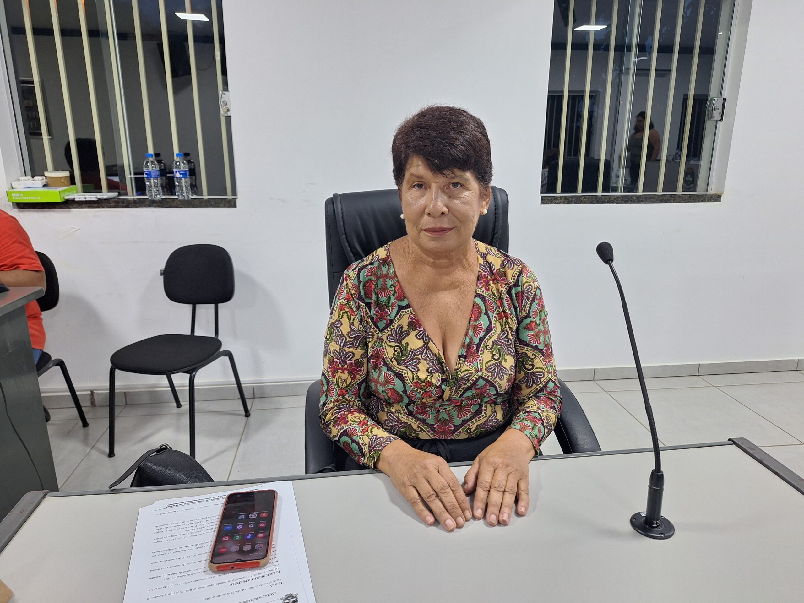 Leia mais sobre o artigo 3ª Sessão Ordinária – 25 de fevereiro de 2025